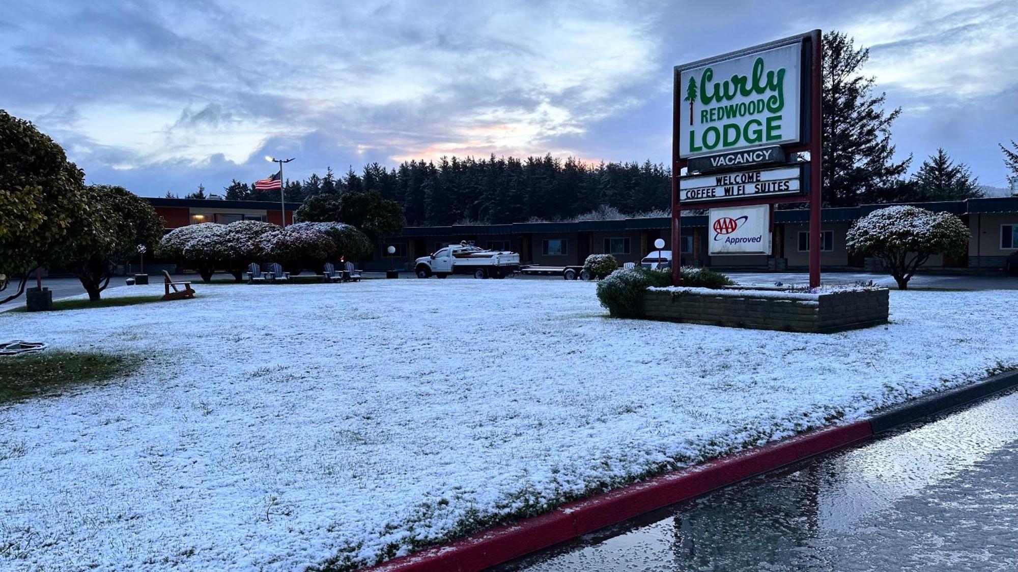 Curly Redwood Lodge Кресънт Сити Екстериор снимка