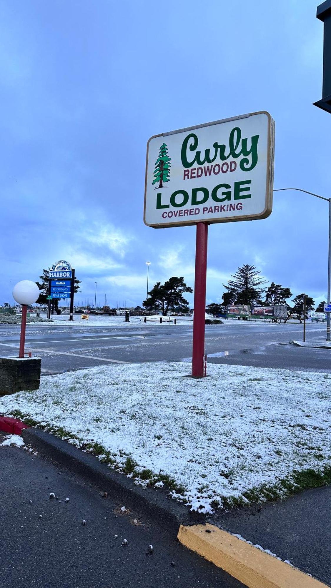 Curly Redwood Lodge Кресънт Сити Екстериор снимка