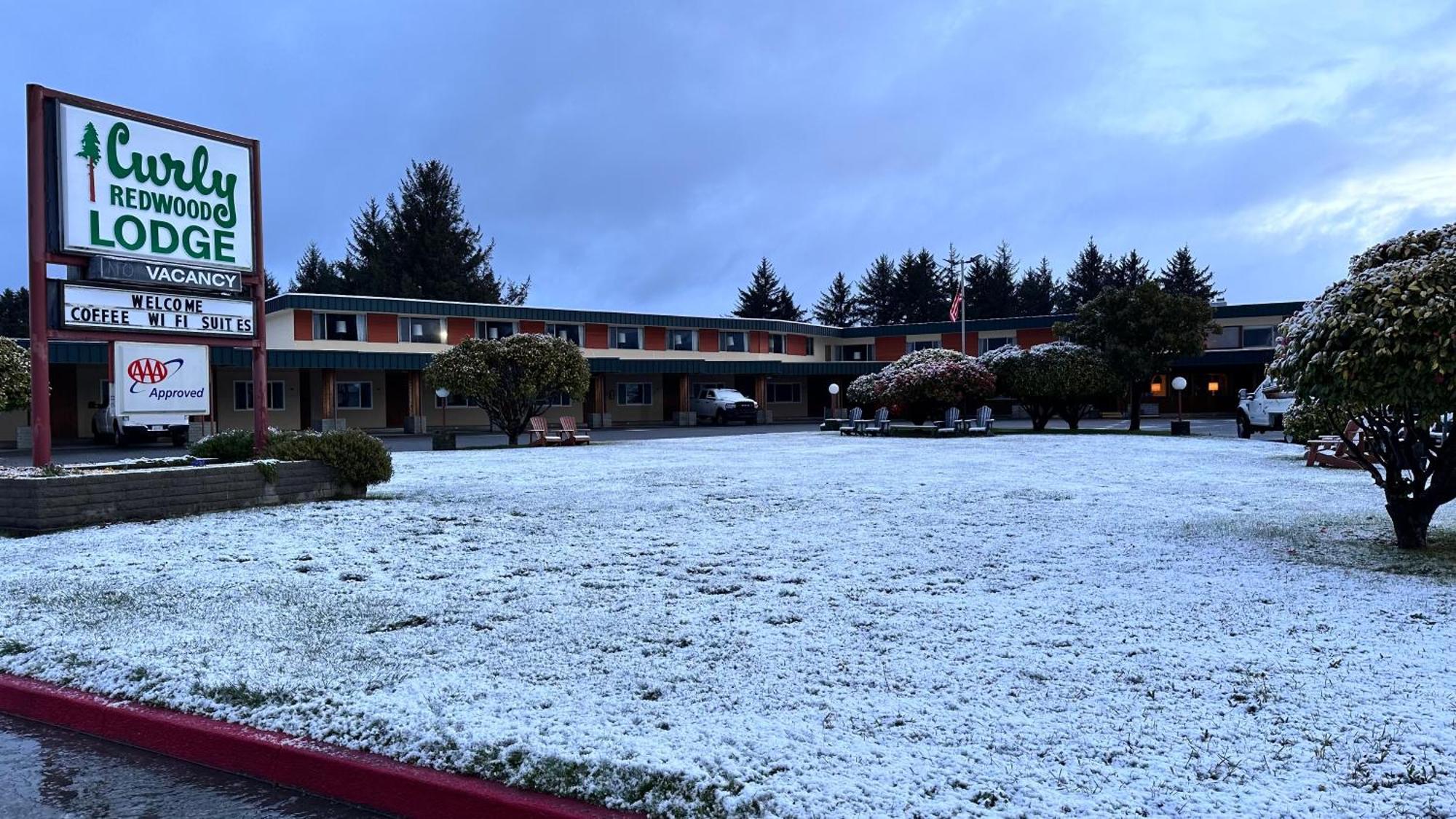Curly Redwood Lodge Кресънт Сити Екстериор снимка